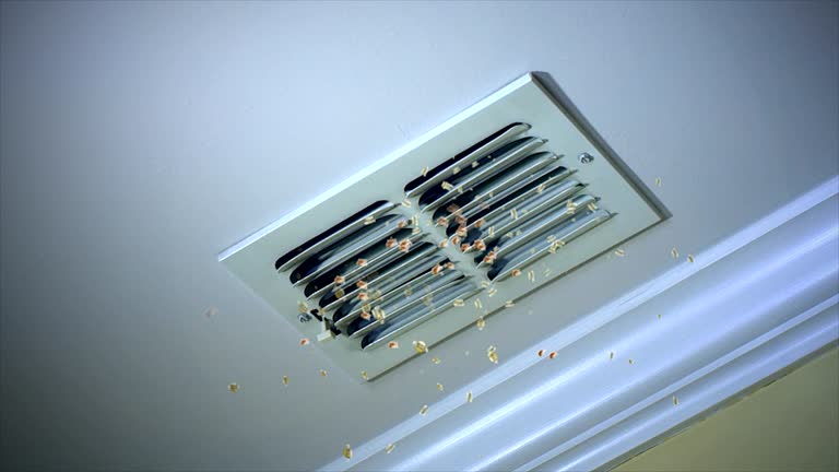 Best Affordable HVAC Duct Cleaning  in Foresthill, CA